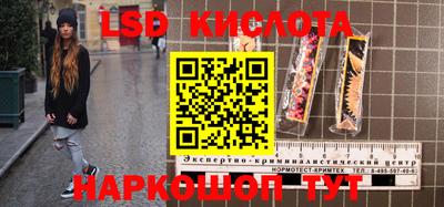 спиды Аргун