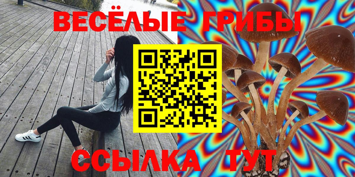 Барнаул  Псилоцибиновые грибы GOLDEN TEACHER  Вход с VPN 